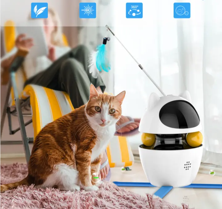 4-in-1 Katzenspielzeug