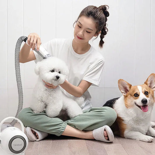 Ibo neabot and NEAKASA pet trimmer Comb and Shave Hairdresser P1 beauty pet