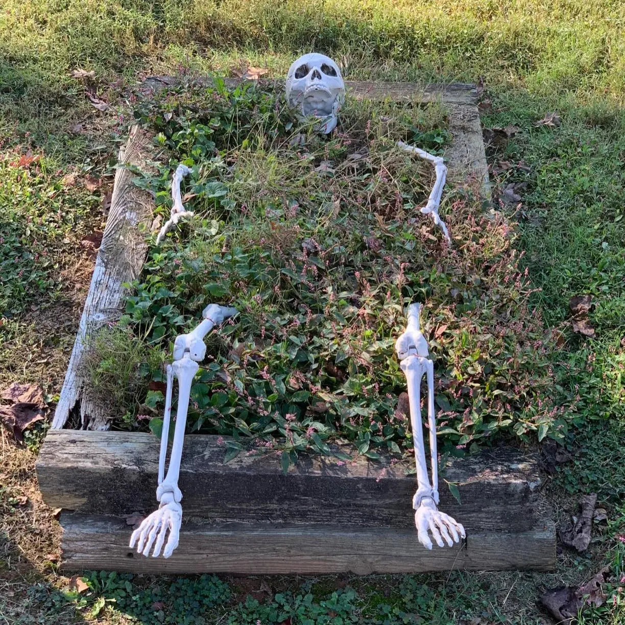 Halloween-Skelett Garten-Deko