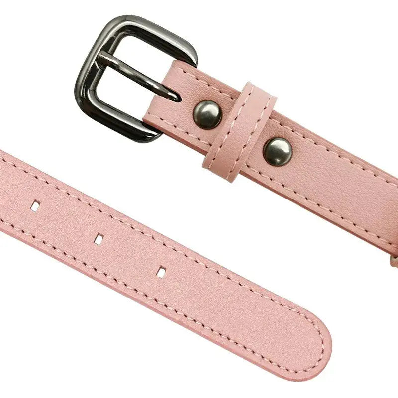 Haustierhalsband mit Airtag Halterung